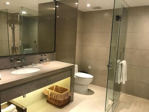 中山中山国际酒店的一间带水槽、卫生间和玻璃淋浴间的浴室