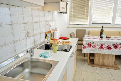萨武德里亚Apartment Mirela的厨房配有水槽和台面
