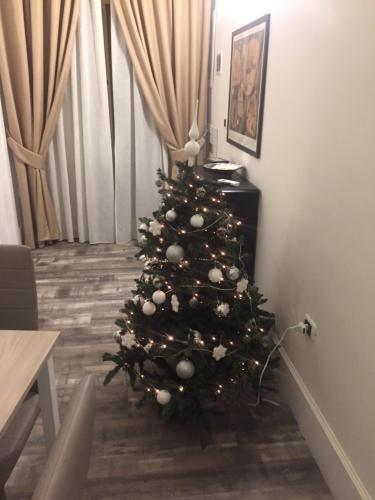 切里尼奥拉Maison Josephine的房间的角落处的圣诞树