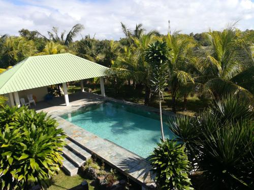 贝尔马尔霍力森民宿的一个带凉亭和棕榈树的游泳池