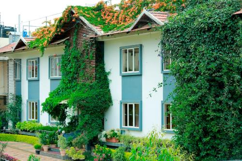 乔奥诺奥尔太阳谷民宿的常春藤覆盖的白色房子
