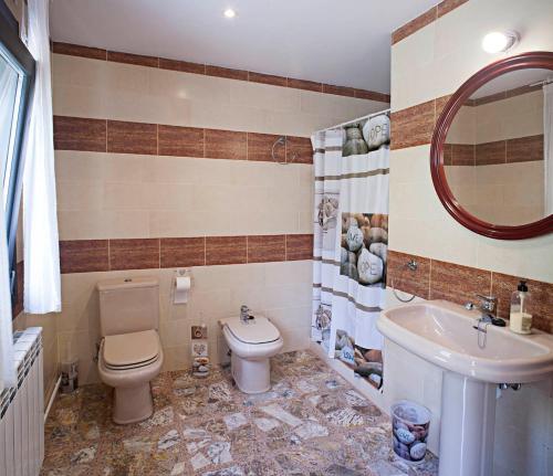 努瓦洛斯Casa rural la Era del Malaño的一间带卫生间、水槽和镜子的浴室