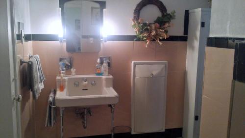 波科诺山Maurrocks - A Pocono Mountains B&B的一间带水槽和小冰箱的浴室