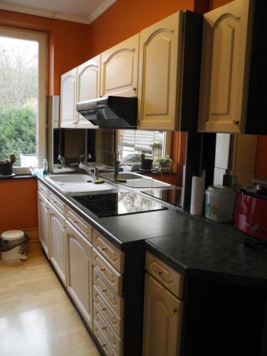 珀潘斯特尔Appart sympa à Pepinster的厨房配有白色橱柜和黑色台面
