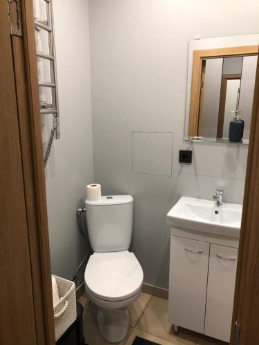 维尔纽斯K&P Apartment的浴室配有白色卫生间和盥洗盆。