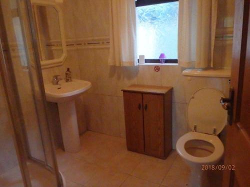 CoalislandTorrent Cottage的一间带卫生间、水槽和窗户的浴室