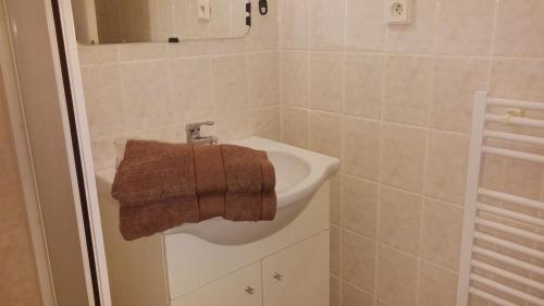 捷克布杰约维采Penzion Lara的一间带水槽和棕色毛巾的浴室