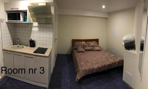 塔林Liivalaia 40 cozy kitchen studio的一间带床和水槽的小卧室
