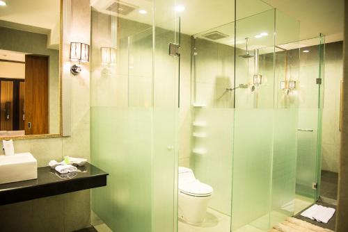 梭罗Hotel Diamond的一间带卫生间和玻璃淋浴间的浴室