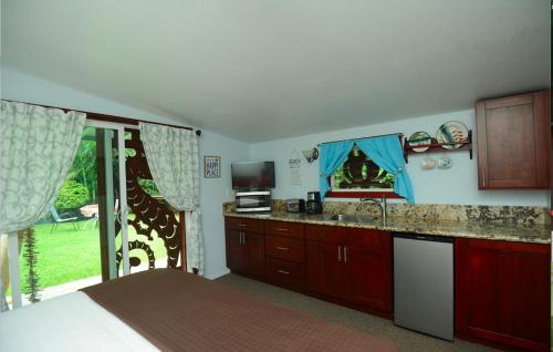普普科亚夏威夷卡拉尼私人乡村民宿的厨房配有床、水槽和电视。