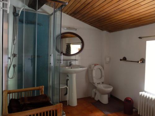 蒙布兰莱班修道院住宿加早餐旅馆的带淋浴、盥洗盆和卫生间的浴室