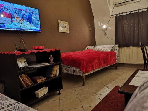 瓦拉日丁Apartman Korzo的卧室配有一张床,墙上配有电视。