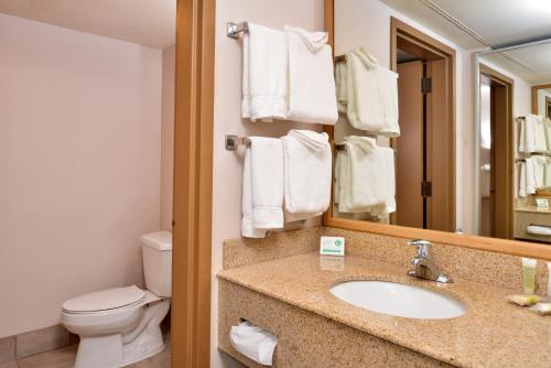 西黄石斯基蔻驰酒店的一间带水槽、卫生间和镜子的浴室