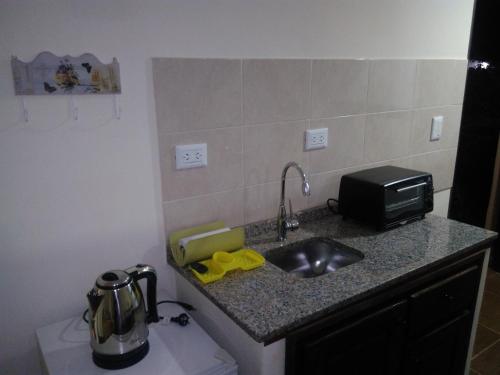 伊瓜苏港ZUHAUSE的厨房柜台设有水槽和微波炉