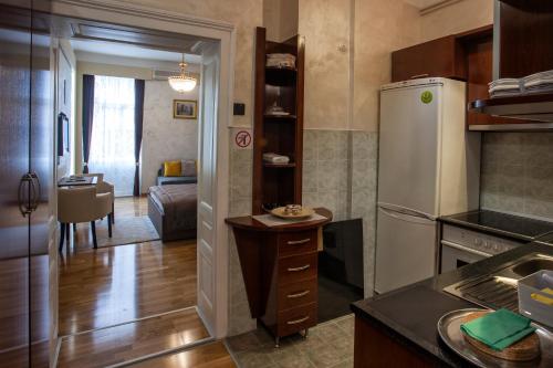 贝尔格莱德Knez Mihailova Apartman的带冰箱的厨房和客厅