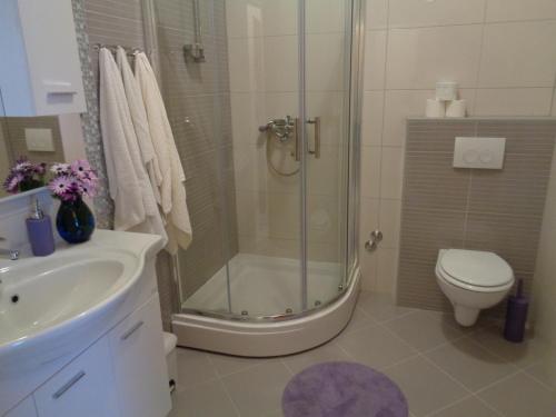 赫瓦尔Villa Zorana hostel的带淋浴、卫生间和盥洗盆的浴室