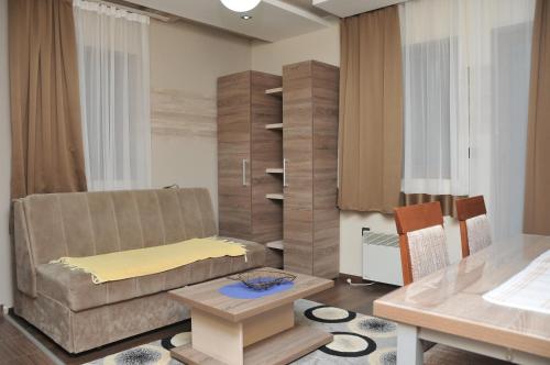 科帕奥尼克Apartments Zivkovic, Milmari D的客厅配有沙发和桌子
