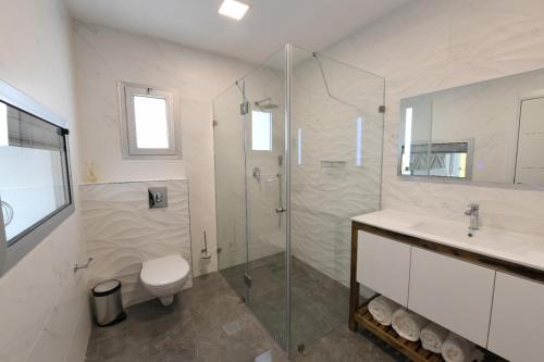 埃拉特Suite dream的带淋浴、卫生间和盥洗盆的浴室