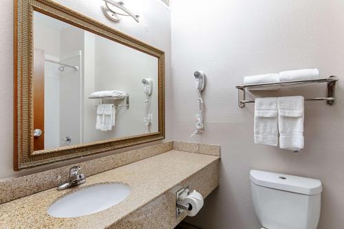 奥斯汀南奥斯汀品质套房酒店的一间带水槽、镜子和卫生间的浴室