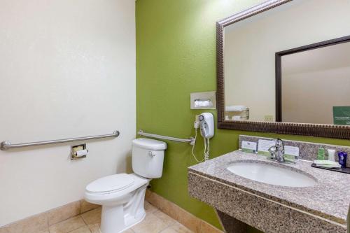 蒙哥马利Sleep Inn & Suites Montgomery East I-85的浴室设有卫生间和带镜子的盥洗盆