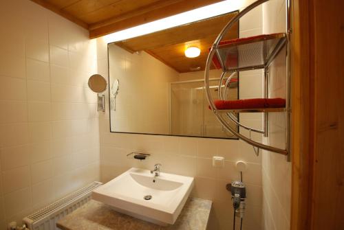 Wimpassing移动客房酒店的一间带水槽和镜子的浴室