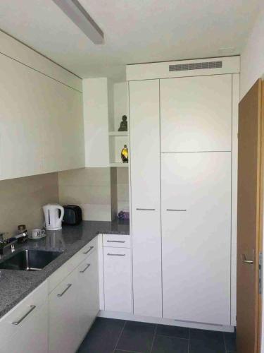 布克斯3 Room Premium Apartment Buchs SG的厨房配有白色橱柜和水槽