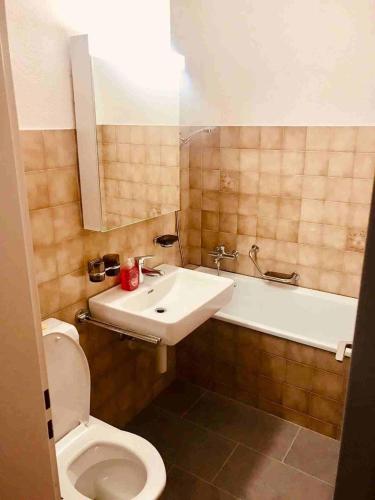 布克斯3 Room Premium Apartment Buchs SG的浴室配有盥洗盆、卫生间和浴缸。