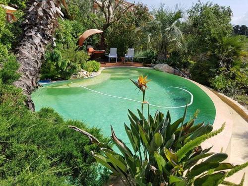 土伦LES PALMIERS TOULON的庭院中带绿水的游泳池