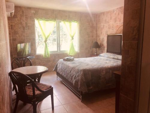 阿瓜达哥伦布酒店的一间卧室配有一张床、一张桌子和一个窗户。