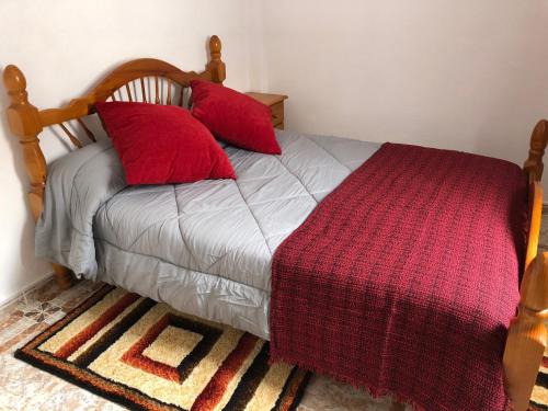 Tejina de IsoraÁTICO ESTRELLA的一间卧室配有一张带红色枕头的床