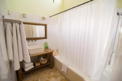 米茨佩·拉蒙沙漠之家酒店的带浴缸、水槽和镜子的浴室