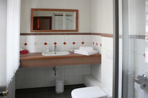 阿尔皮尔斯巴赫Löwen-Post的一间带水槽和镜子的浴室