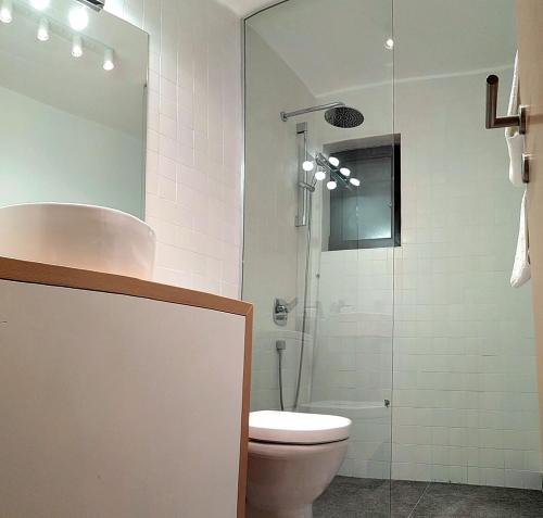 卡鲁德杰尔斯科巴尔Apartments Milic的一间带卫生间和玻璃淋浴间的浴室