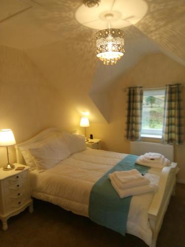 卡博斯特Garroch House的一间卧室配有一张床和一个吊灯