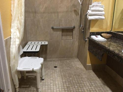 英格尔伍德钻石旅馆的带淋浴、长凳和卫生间的浴室