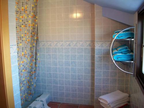 乌贝达-4-MEJOR QUE EN CASA, centro historico de Ubeda的带淋浴、卫生间和毛巾的浴室