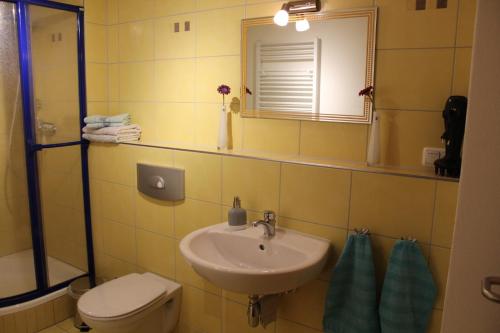 克林根塔尔Ferienwohnung Familie Becher Klingenthal Aschberg的一间带水槽、卫生间和镜子的浴室