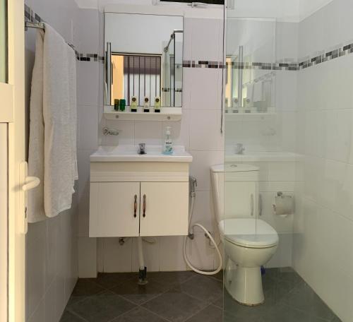 佩勒代尼耶Lotus Villa Kandy的白色的浴室设有卫生间和镜子