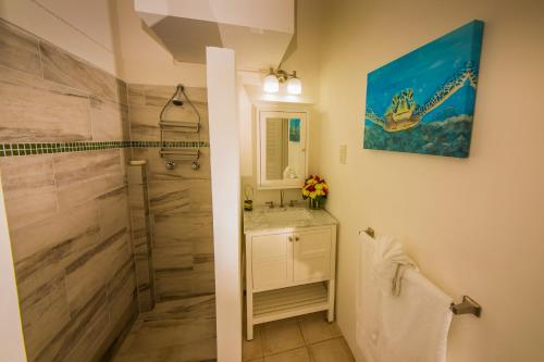 马里戈特湾Oasis Marigot的一间带水槽和淋浴的浴室