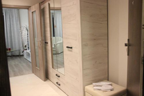 布拉格Element Prag Airport Apartment的一间带大镜子和卫生间的浴室