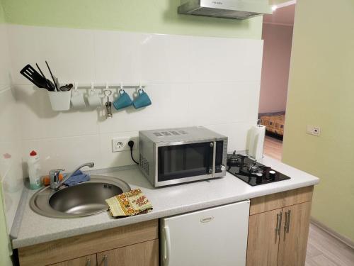 切尔尼戈夫Apartment near city center on Peremohy Avenue 46的厨房配有水槽和微波炉