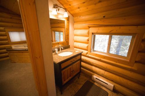 艾兰帕克松岛公园酒店的小木屋内的浴室设有水槽和镜子
