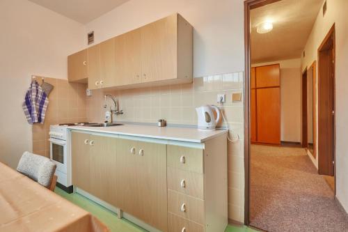 派克波特斯耐兹库费恩公寓的厨房配有水槽和台面