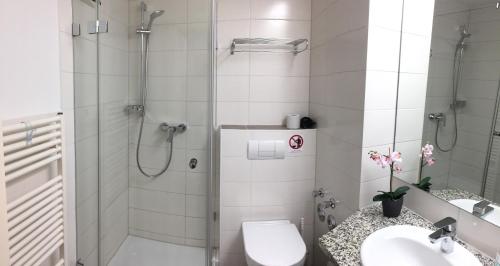 瓦尔内明德Fewo Mittelmole的带淋浴、卫生间和盥洗盆的浴室