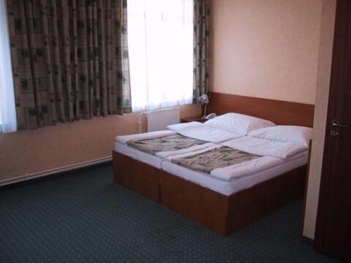 塔塔阿诺德酒店的一间卧室设有一张大床和窗户