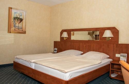 施塔德安可雅酒店的一间卧室配有一张大床和镜子