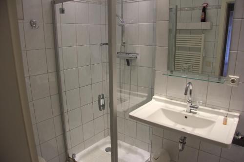 岑平Apartment Helena的浴室配有盥洗盆和带镜子的淋浴