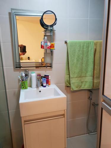 莎阿南Suria Jelutong的一间带水槽和镜子的浴室