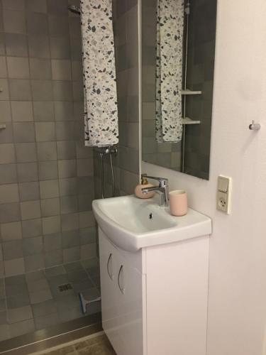齐斯泰兹Malthe Bruuns Vej 17, 1. sal的白色的浴室设有水槽和镜子