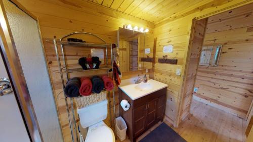 蒙蒂塞洛White Pine Cabin by Canyonlands Lodging的木制浴室设有卫生间和水槽